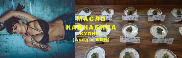 тгк Бородино