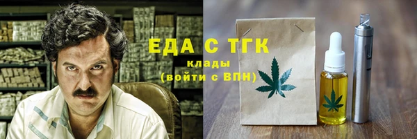 тгк Бородино
