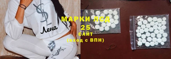 тгк Бородино