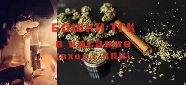 тгк Бородино