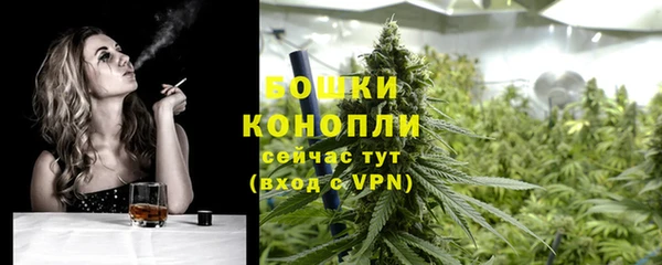 не бодяженный Сосновоборск