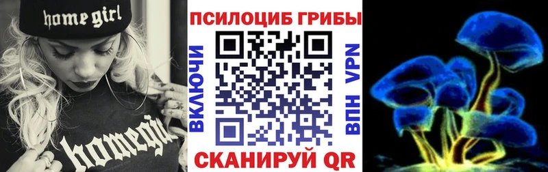 Псилоцибиновые грибы Psilocybine cubensis  Кизел 